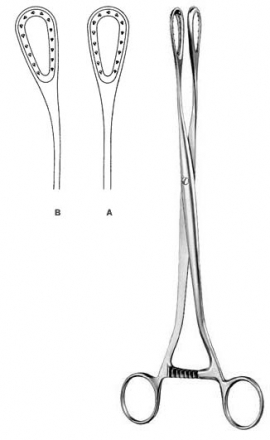 DS-13-109