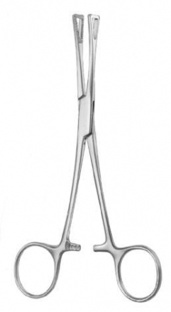 DS-08-109